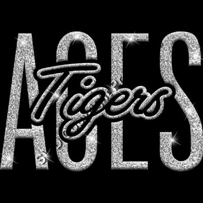 GLT95 SILVER GLITTER Thumbnail